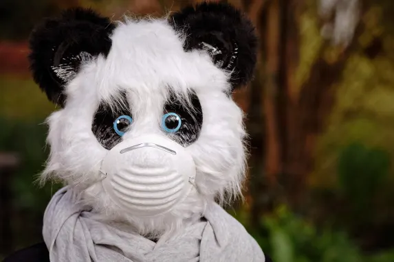 トップベット カジノ サポート